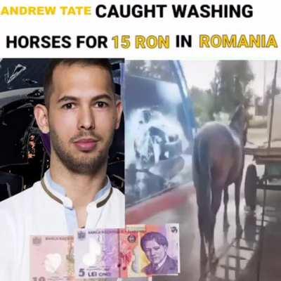 but can the top g get much higher?