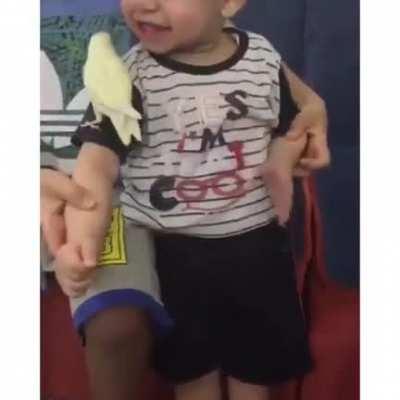 Why would you do that