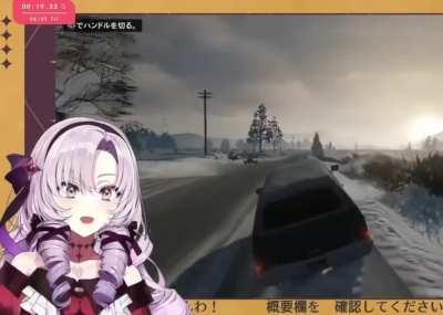 Excellent driver 🦂