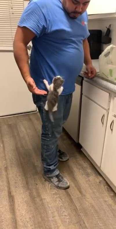 Smol spidey criminol