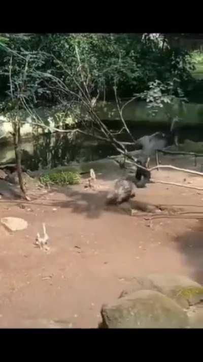 He fucked around and found out