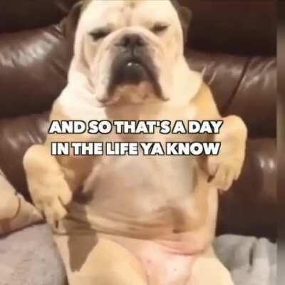 fuck trashcans, all my homies hate trashcans