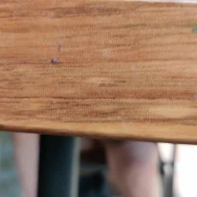 Trying to play it cool on a full patio lol 😌 [F]