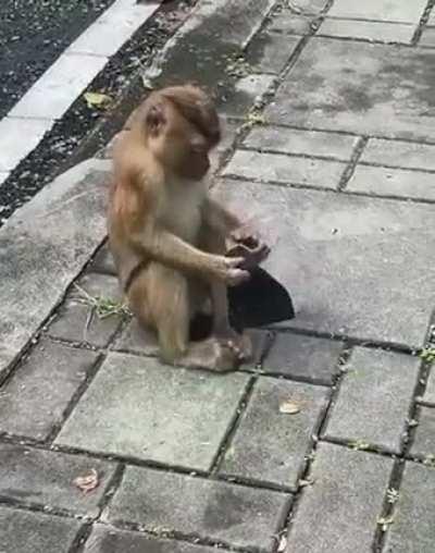 A newly ordained minister of the Church of COVID™