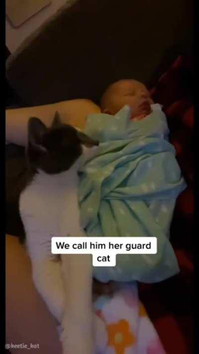 kitty knew his person was on her way 💞