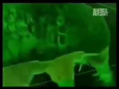 Grande la naturaleza