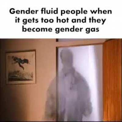 A group of genderfluid folks is called a genderpuddle