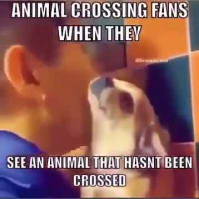 powder that makes u say real 