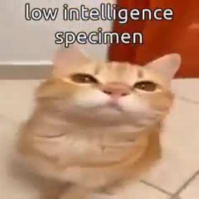 A very interesting title