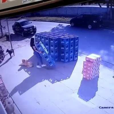 El mejor amigo del hombre