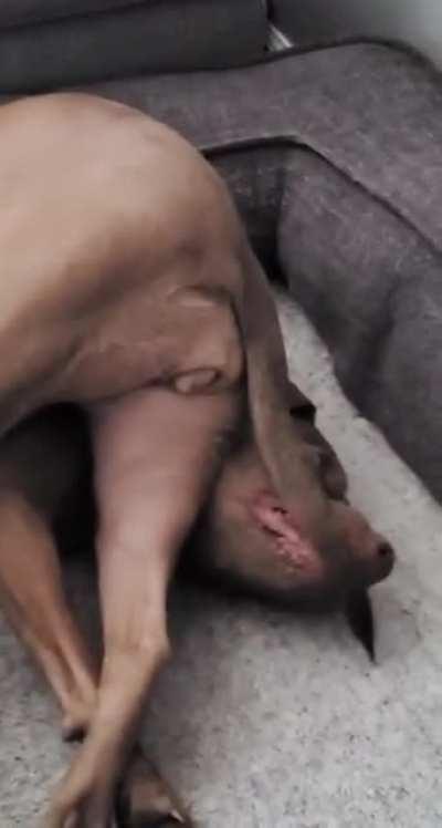 She is always doing stuff like this