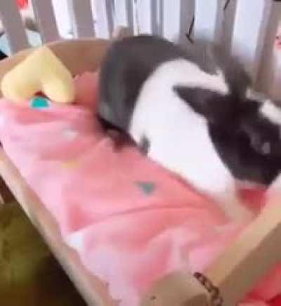 Slamming into bed after not sleeping last night