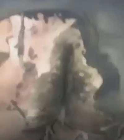 Мир полон дегенератов, нам же остаётся только угорать с них