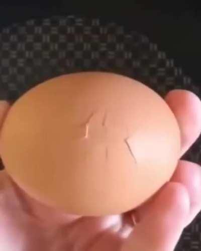 Look at what came out this egg!!