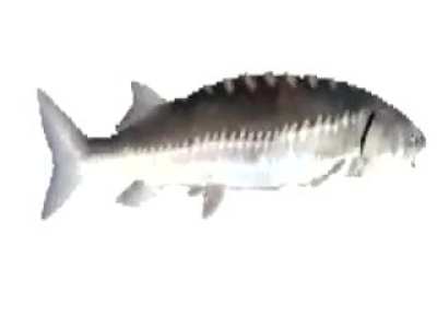 you're getting touched with both of my hands