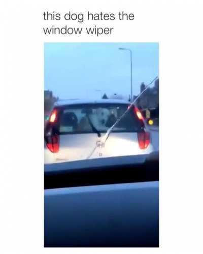 It’s like chasing your tail on the go