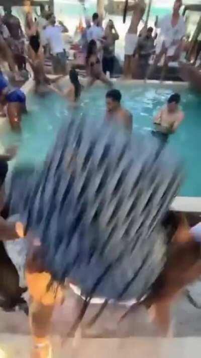 Bad bitch on Twitter