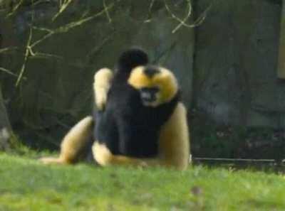 Buenos días pitos sucios🤝