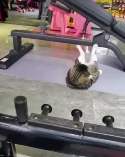 Lemme show you the correct way