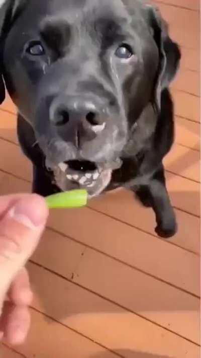 Kasey is addicted to green beans so I'd make an ASMR out of it