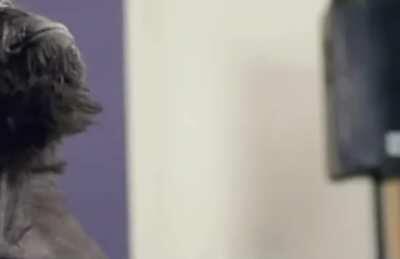 Waiting For The Margin Call....🚀🗿🦍