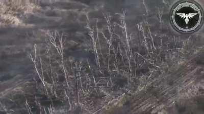 Ukrainian drones finishes of russian troops near Stepove, Donetsk