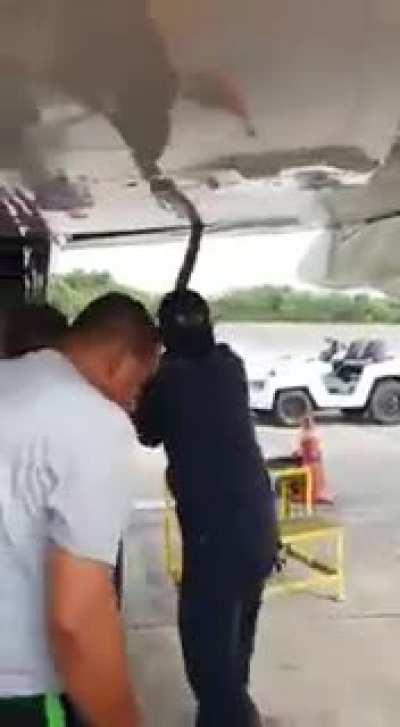 “I have had it with these motherf—— snakes on this motherf—— plane.”