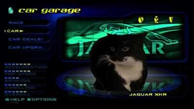 By far the best car in High Stakes