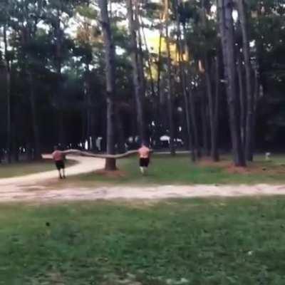 What did they think would happen