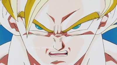 If only you could see how stupid you look