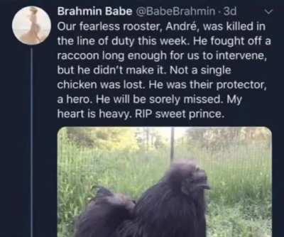 Rest In Peace André