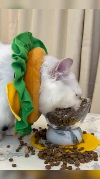 Take a big bite!!👀