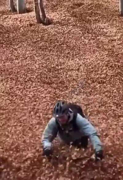 A little fun in the leaves.