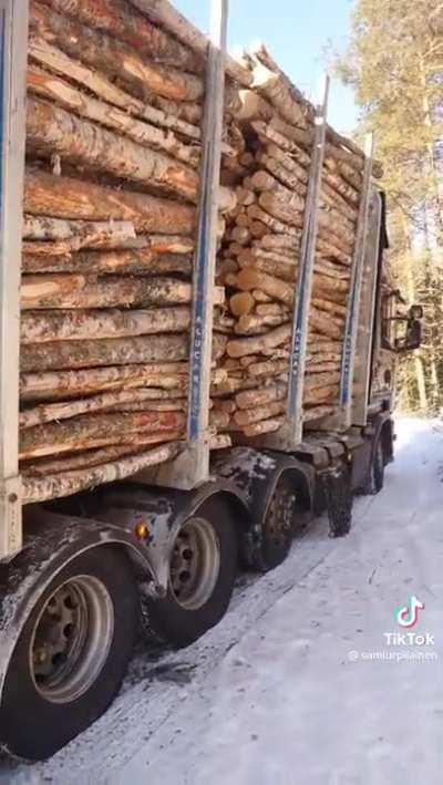 Most sane Finnish person