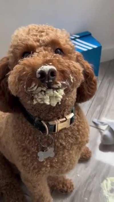 Circumstantial evidence at best