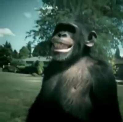 Trunk monkey +60 summoner damage