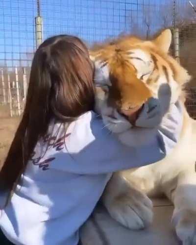 Now that's a huge pussy!