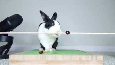 I feel so bad for laughing