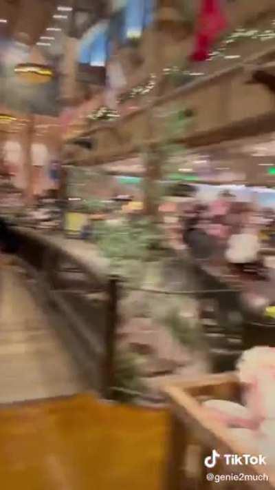 Crazy guy jumps into fish tank!