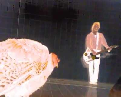 The entire Anyone Can Play Guitar music video for no reason in particular