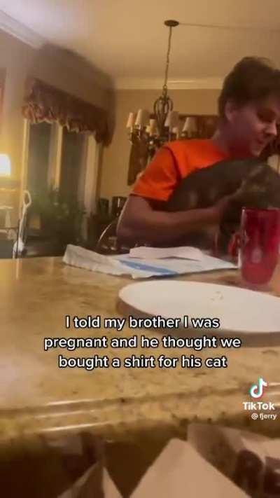 Golden retriever energy