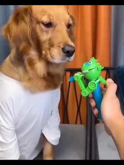 He just wants his lollipop