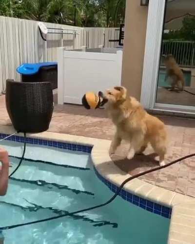 Playing Time...⚽🏀