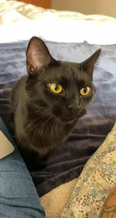 when you yell into the void and the void yells back