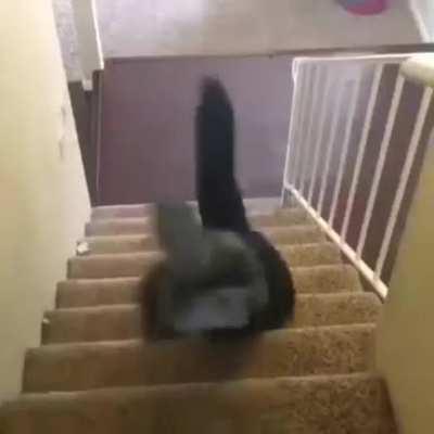 aca les dejo un meme muy elegante 🧐