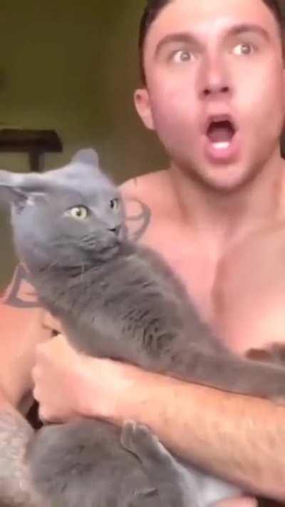 Cats bites cheek, but then becomes enlightened 🙌