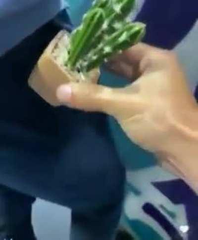 Hes got something in his pocket