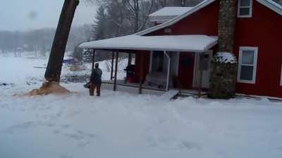 Tree takes anger out on house