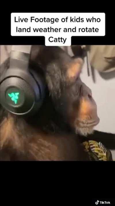 Is this not true though?