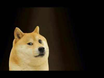 Le Jimmy has arrived